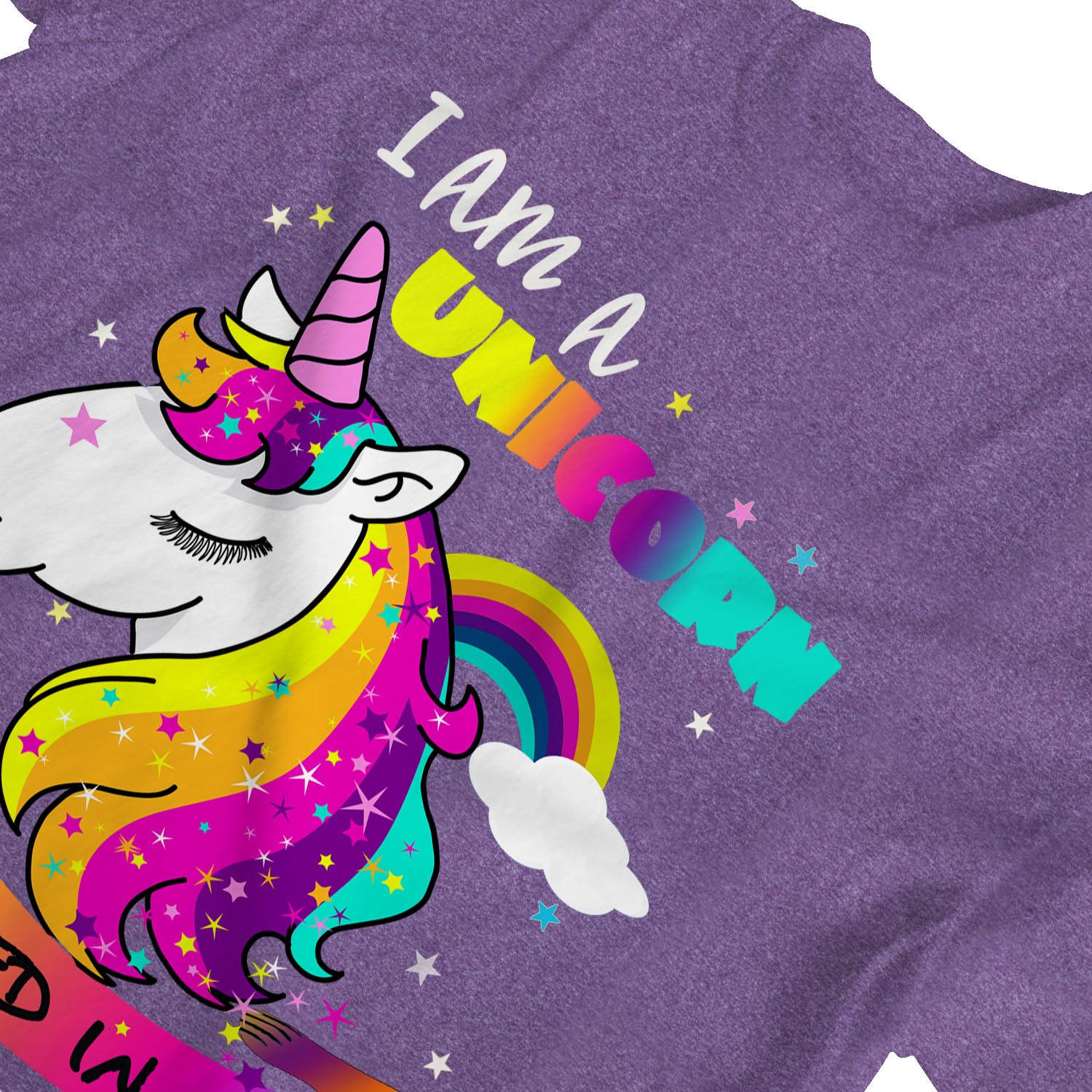 1Tee Womens I am a Unicorn Trapped in a Human Body T-Shirt